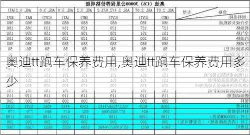 奥迪tt跑车保养费用,奥迪tt跑车保养费用多少