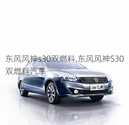 东风风神s30双燃料,东风风神S30双燃料汽车