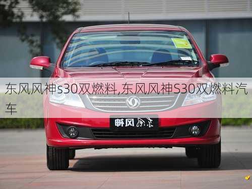 东风风神s30双燃料,东风风神S30双燃料汽车