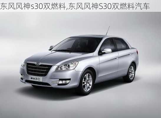 东风风神s30双燃料,东风风神S30双燃料汽车