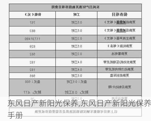 东风日产新阳光保养,东风日产新阳光保养手册