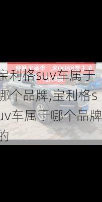 宝利格suv车属于哪个品牌,宝利格suv车属于哪个品牌的