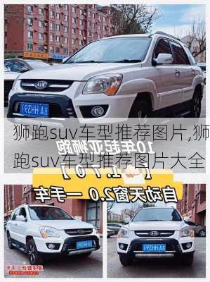 狮跑suv车型推荐图片,狮跑suv车型推荐图片大全