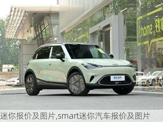 迷你报价及图片,smart迷你汽车报价及图片