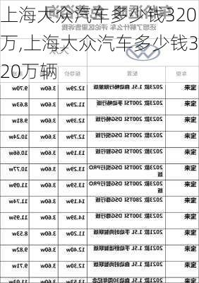 上海大众汽车多少钱320万,上海大众汽车多少钱320万辆